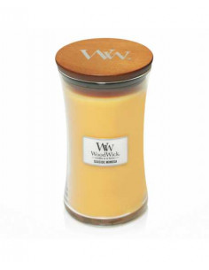 Seaside Mimosa giara grande