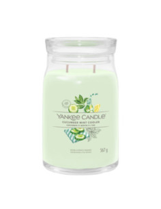 Cucumber mint cooler Candela grande Tumbler Signature 2