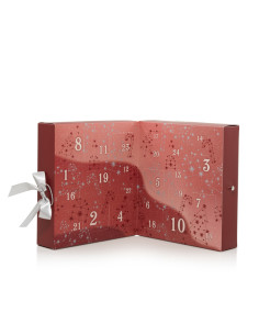 Calendario dell'Avvento Libro 2