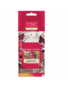 Red Raspberry car jar