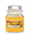 maison berger paris twist arancio maison berger paris twist arancio