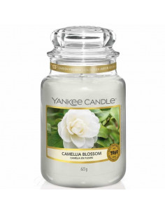 Camellia Blossom giara grande