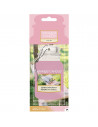 yankee candle tropical jungle - giara media yankee candle tropical jungle - giara media